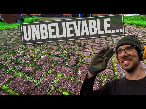 Moss Removal Mission:  Can We Survive This Back Breaking Driveway Clean!?
