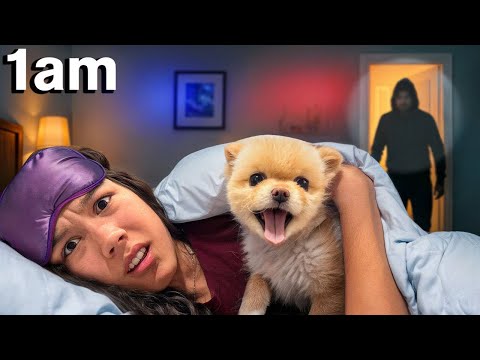 SOMEONE Keeps RINGING The Doorbell in My New HOME! At 1AM! *SCARY*