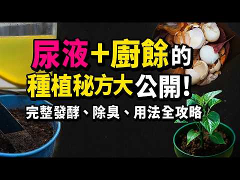 尿液＋廚餘製成天然肥，效果比化肥更猛！