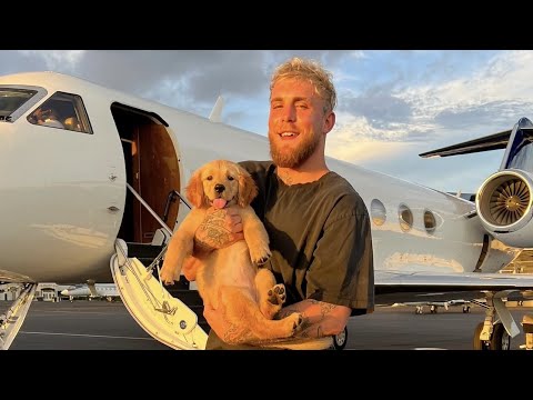 My New Life As A Pro Boxer.