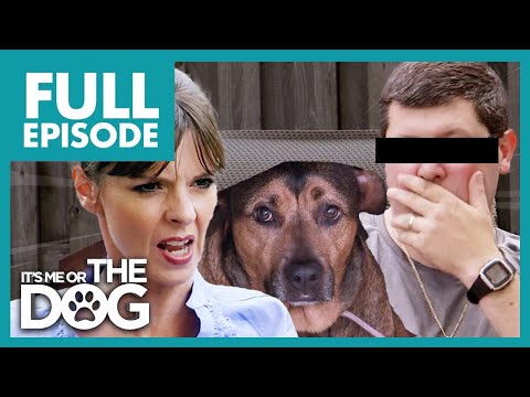 Victoria's About to Call Police on Abusive Dog Owner🚨 | Full Episode | It's Me or The Dog
