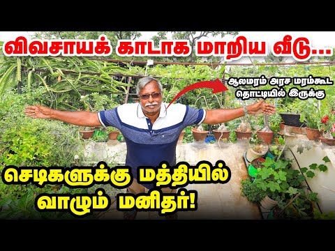 இது வீடா இல்லை விவசாயக் காடா?  தொழிற்சாலைகளுக்கு நடுவே ஓர் பசுஞ்சோலை | Home Garden | Pasumai Vikatan