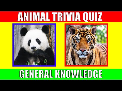 ANIMAL TRIVIA QUIZ for Kids | Animal General Knowledge Quiz Game for Preschoolers and Kindergarten