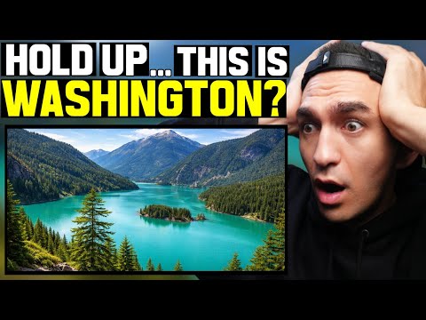 New Zealander’s FIRST Time Seeing Washington, AMERICA!