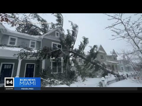 Historic blizzard dumps 3 feet of snow on parts of Northeast