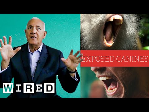 Former FBI Agent Breaks Down Universal Body Language | WIRED