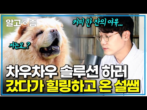 "시골 낭만 너무 좋은데요?" 보호자가 직접 내려준 커피 한 잔으로 에너지 잔뜩 채운 설채현의 다견가구 싸움 솔루션｜세상에 나쁜 개는 없다｜알고e즘