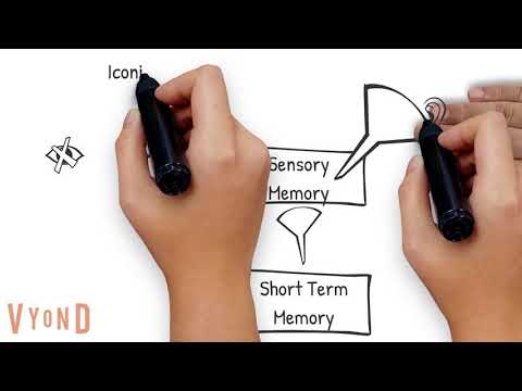 Information Processing Theory Explained