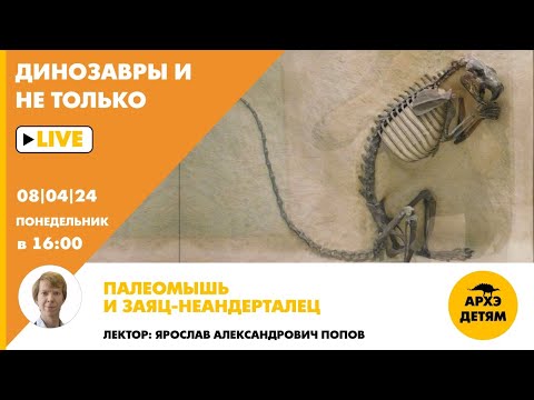Занятие "Палеомышь и заяц-неандерталец" кружка "Динозавры и не только" с Ярославом Поповым