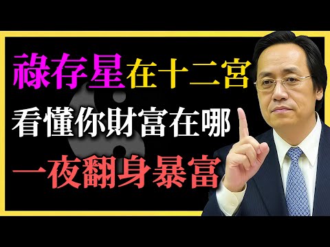 倪海廈：祿存星在十二宮，看懂你財富在哪裏，一夜暴富翻身做有錢人！你有沒有走對命？#倪海廈#紫微鬥數#命理實證#祿存星#命理#財運解析#人生規劃#易經智慧