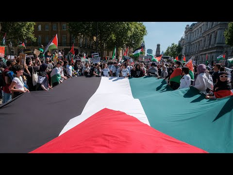 Mobilizing Law in Defence of Palestine