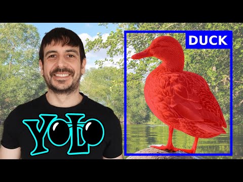 Image segmentation with Yolov8 custom dataset | Computer vision tutorial