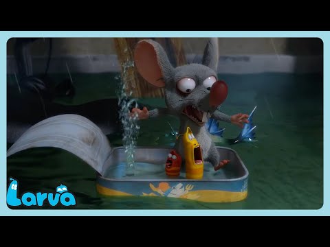 홍수 | WildBrain 한국어 | 어린이를 위한 만화 Larva