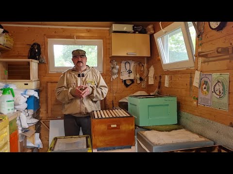 🔴 Как новичку правильно объединить семьи на медосбор 🔴