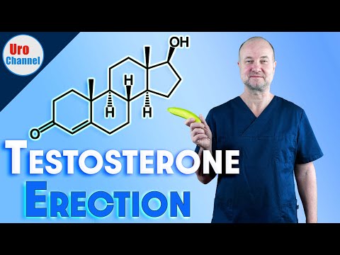 What testosterone does for erections | UroChannel
