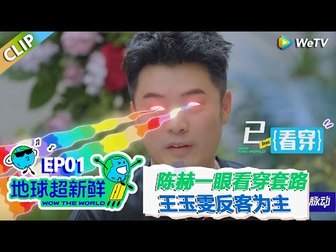 【地球超新鲜CLIP】：陈赫一眼看穿陈星旭被人操控，王玉雯大大方方反客为主把陈赫整不会了！#刘宇宁 #龚俊 #陈赫 #李乃文 #孙红雷