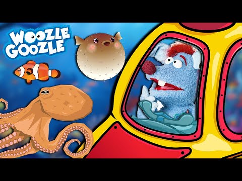 Was passiert alles unter Wasser? l WOOZLE GOOZLE