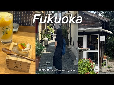 파워J의 후쿠오카 여행🇯🇵(하카타&텐진맛집,단톤&슈프림&GU쇼핑,느좋카페,호텔추천)