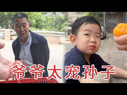 爷爷不辞辛苦跑200公里回老家，满心想着把最好的给孙子，隔辈亲太戳心了！【杨翠花V】