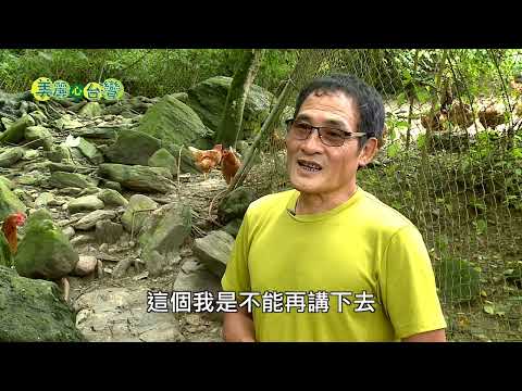 【花蓮壽豐】放牧雞達人張進義的養雞人生 | 有機無毒 | 225 | #美麗心台灣