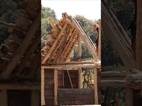 Bushcraft solo #camping  #bushcraft #survival #building Part - 3