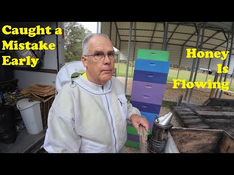 Around the Apiary | Bottling Honey | Dangerous Mistake