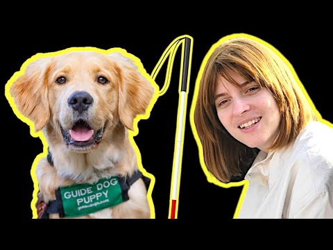 Why Orthodox Jewish blind people don't have guide dogs | Rachel Bodek
