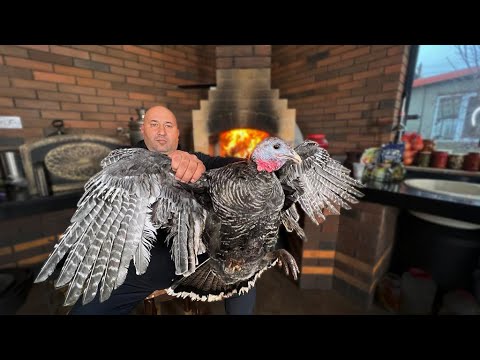 How to Bake the Juiciest Turkey Ever | Holiday Feast Idea