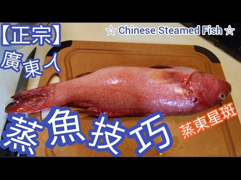 東星斑 |【正宗廣東人】蒸魚技巧@雞翼達人 | 第1集 | How to make Chinese Steamed Fish | 買咗條貴魚返來應該點蒸？ (Eng Sub)