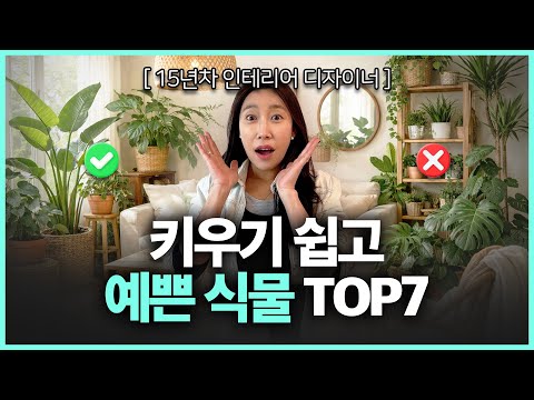 7 Plants Recommended by Interior Design Experts | Amazing Interior Design Tips Using Plants!