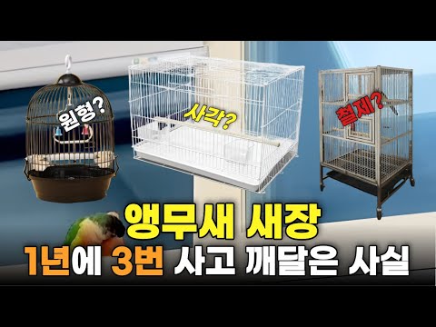 앵무새 새장 고민 끝. 1년 동안 6번 바꾸고 결국 이걸로 정착했습니다.