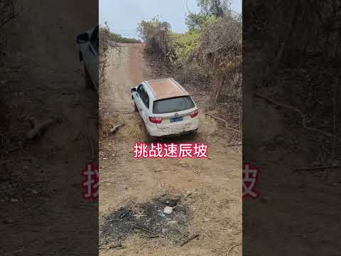 Jeep Wrangler Team– The Ultimate Off-Road King Conquering Rocks & Forests