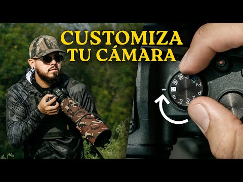 Las MEJORES CONFIGURACIONES para fotografía de vida salvaje 📸🦅