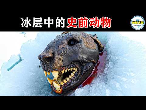 万年前的生命奇迹！10种冰层中发现的史前动物，科学家即将复活！丨地球之最#冷知识 #排名 #世界之最#地球之最top#世界之最top#top10#惊人发现#史前动物
