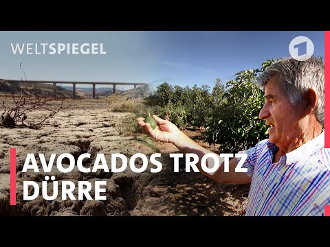 Extreme Dürre in Spanien: Ein Land trocknet aus | Weltspiegel