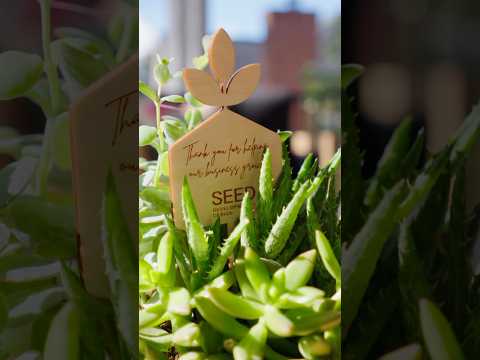 At SEED, we craft spaces that bring people together and celebrate life’s little joys. 🏡🌱