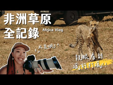 【肯亞】此生必去非洲大草原!尋找動物大遷徙、獅子獵豹大象犀牛水牛「非洲五霸」一次看到飽! Masai Mara Vlog