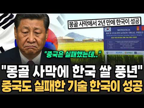 "Korean rice is abundant in the Mongolian desert!" Korea succeeds in a technology that even China...
