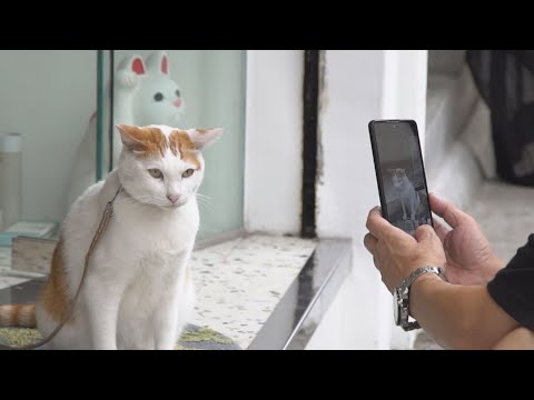 【經緯線】深水埗開間舖