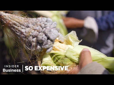 Why Huitlacoche (Corn Smut) is So Expensive | So Expensive