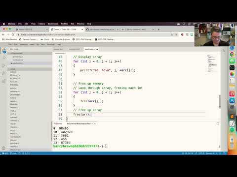 C Programming: Dynamic Arrays