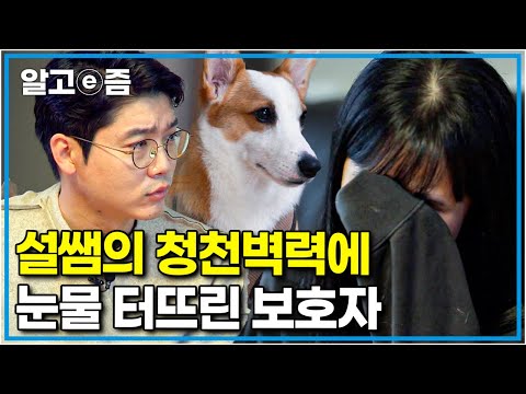 "마음을 몰라줘서 미안해요" 반려견이 불안한 줄 모르고 오해해 왔던 지난 세월에 미안함과 속상해 눈물 보인 보호자를 위로한 설쌤│세상에 나쁜 개는 없다│알고e즘