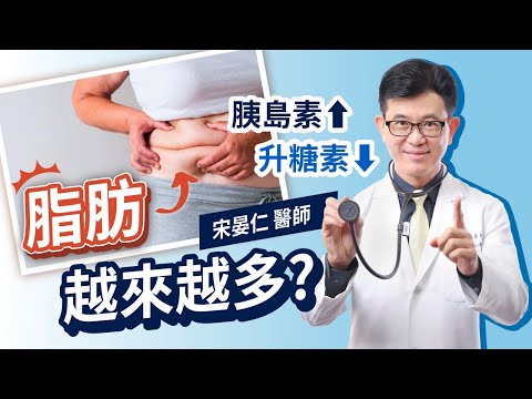 脂肪為什麼越來越多? 宋晏仁醫師：因為你的身體一直召喚胰島素啊！該怎麼減肥? 快出動胰島素的死對頭：升糖素來分解脂肪吧！
