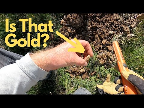 Big Payoff Gold Prospecting Garrett Axiom 2 Nice Specimens | Metal Detecting