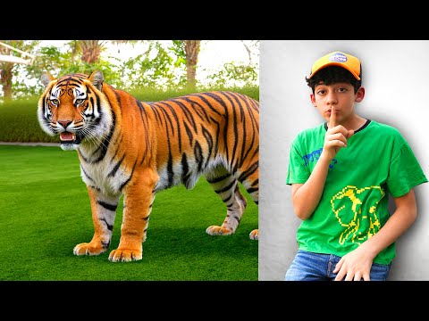 Real Animals come Alive | Jason and the Life Animal 3D Adventure