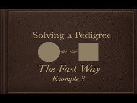 Solving a Pedigree the Fast Way (example 3)