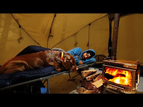 Surviving Winter Camping in the Polar Vortex with My Dog