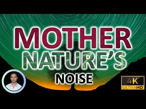 Mother Nature's Sleep Noise 🌍  | Healing Frequencies & Nature Sounds for Anxiety Relief | 12 Hours |