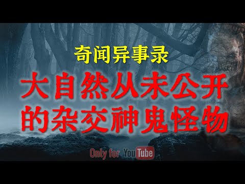 【灵异事件】揭秘传说中的神鬼生物：90年代青海高原那场大雪，我撞见了最诡异的一幕|南京老洋房的惊悚事件:恐怖真相至今无人敢探#鬼故事#睡前故事#恐怖故事#解压故事#怪谈#恐怖#horror「灵异电台」