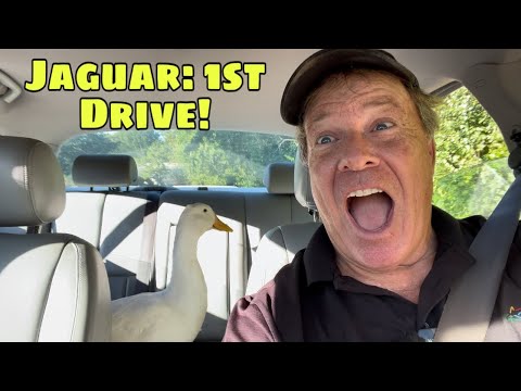 Can I Get My Free Jaguar S-Type To Start After 9 Years??!!